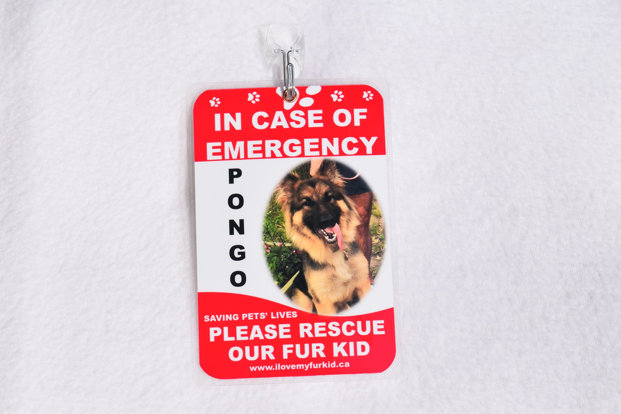 Washington, DC - USA